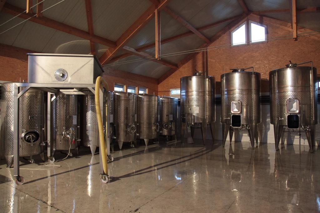 Winzerzimmer - Weingut Tinhof Eisenstadt Exteriör bild